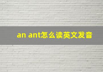 an ant怎么读英文发音